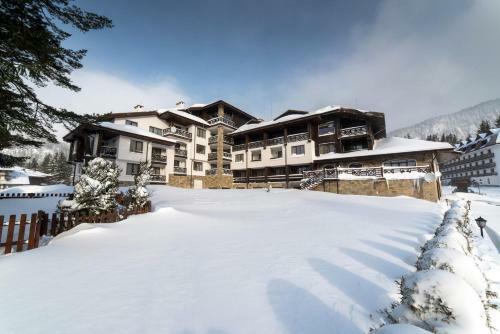 Mountain View Apartment 541