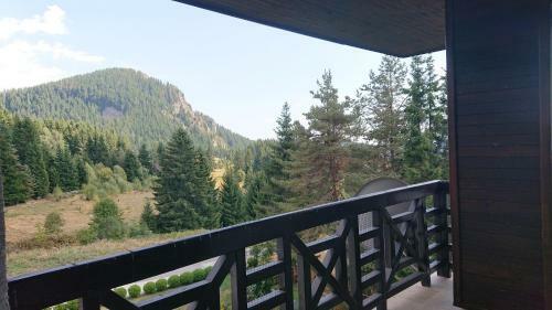 Mountain View Apartment 541