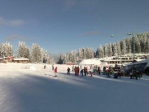 Panorama Apartments, Stoykite