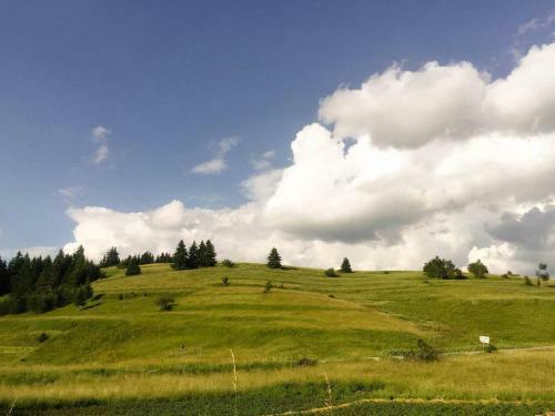 Villa Stoykite-pamporovo Nature Retreat
