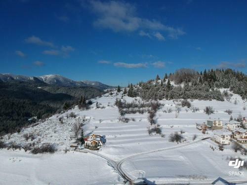 Villa Stoykite-pamporovo Nature Retreat