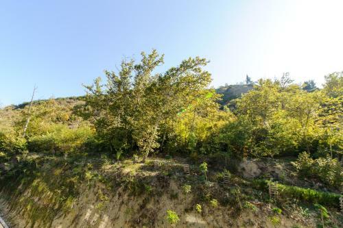 Rebus Apartments