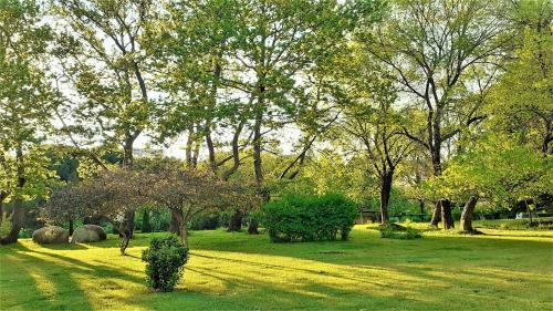 Sunny Days - Park Apartment