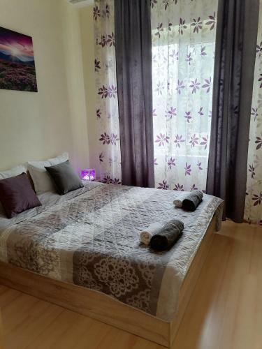 Best Location Apartment