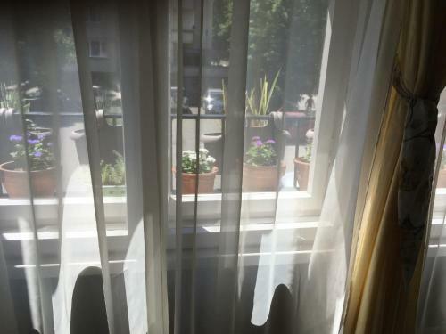 Apartamento My Home
