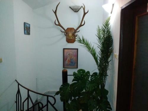 Hostal ???? ?? ????? "???????"