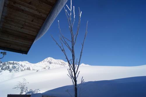 Apartamento Appartements Dietrich