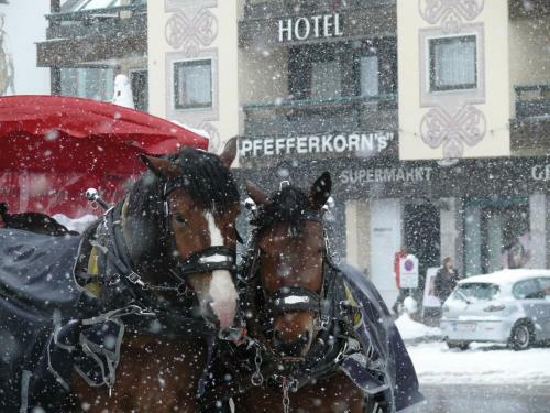 Pfefferkorn's Hotel