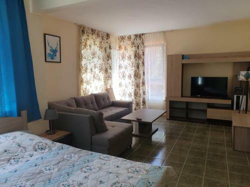 Hostal Velina House