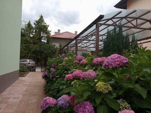 Hostal Sunday House Elin Pelin