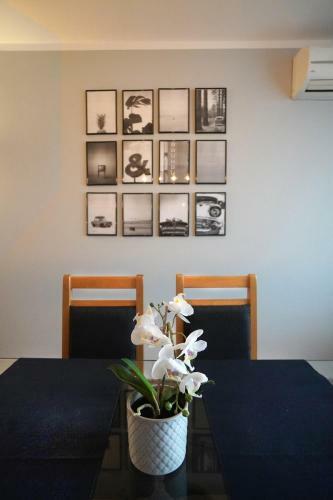 Hostal ???? ?? ????? ??????? Guest House Gallery