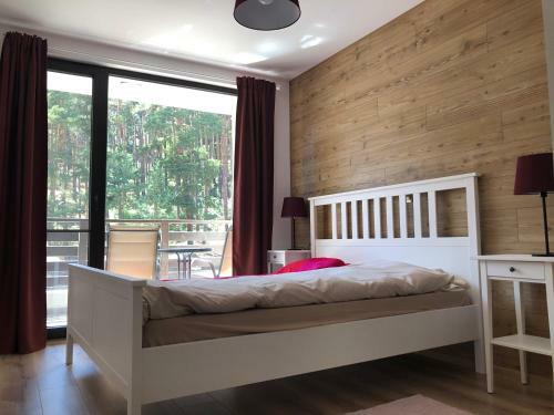 Apartamento Borov Park 3