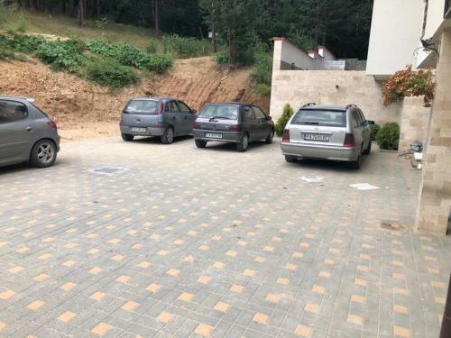Apartamento Borov Park 3