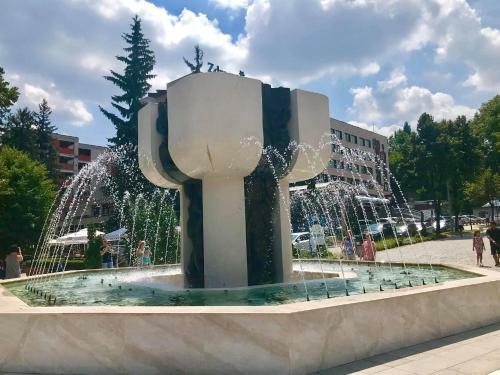 Apartamento Borov Park 3