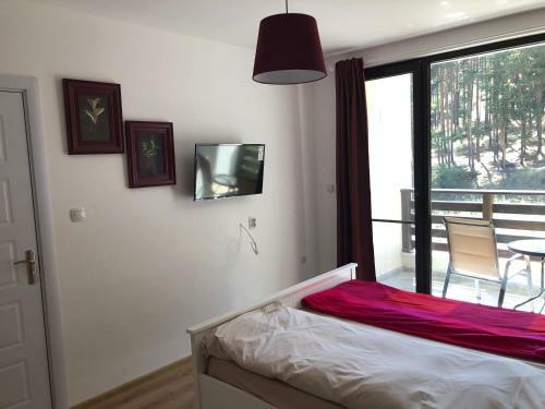 Apartamento Borov Park 3