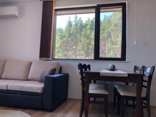 Apartamento Borov Park 3
