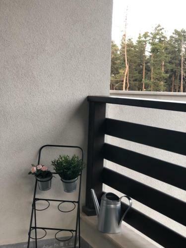 Apartamento Borov Park 3