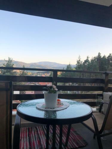 Apartamento Borov Park 3