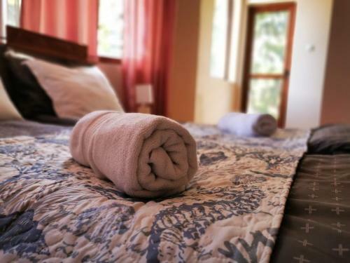 Hostal Casa Divna