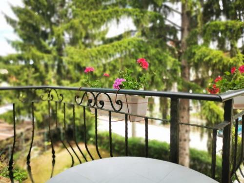 Hostal Casa Divna