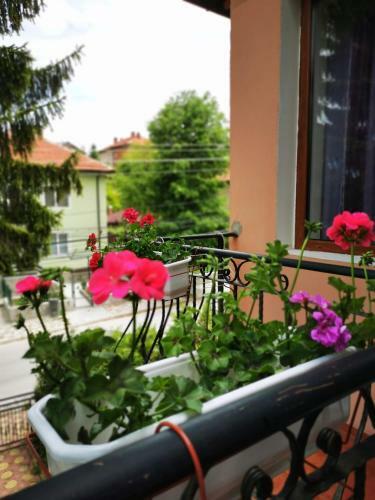 Hostal Casa Divna