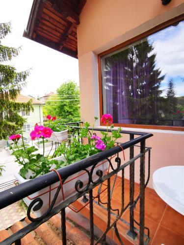 Hostal Casa Divna