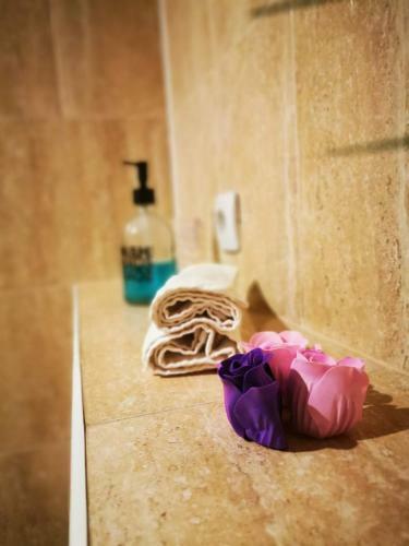Hostal Casa Divna