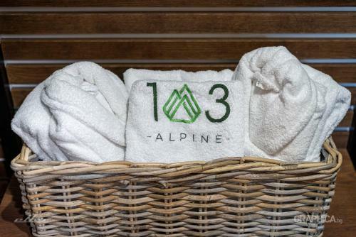 103 Alpine Hotel