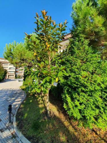 Rodinn� Apartm�n Robinson Beach