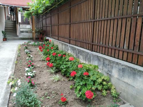 Apartamento @ Home