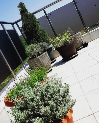Apartamento The View Veliko Tarnovo