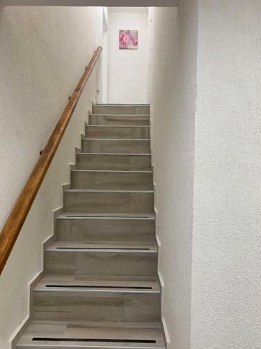 Apartment Zdravets 2