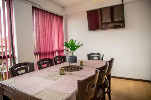 Europe Guest House � ???? ?? ????? ??????