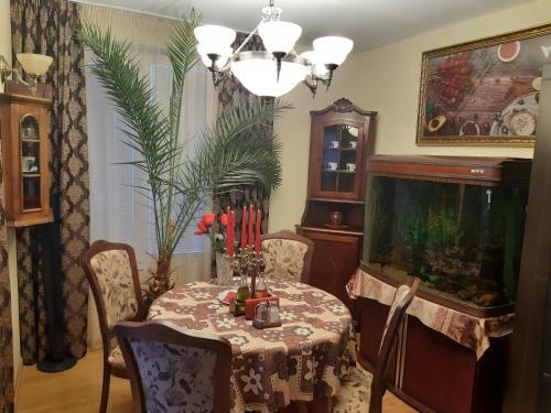Apartamento Nish 7