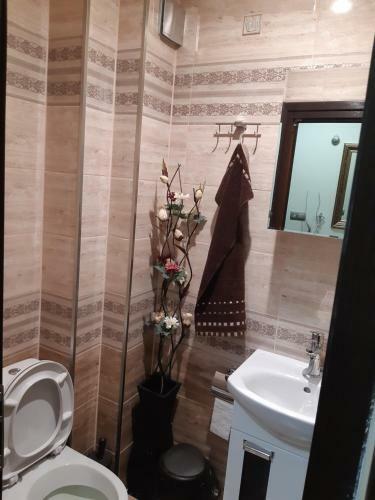 Apartamento Nish 7