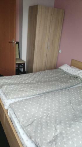 Comfort Apartment Vt
