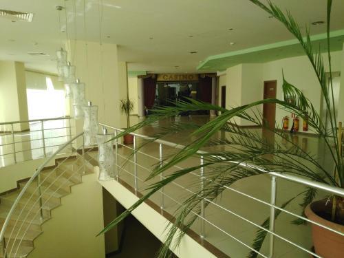 Private Apartment In Saint Elena