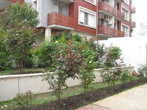 Apartments Shterevi