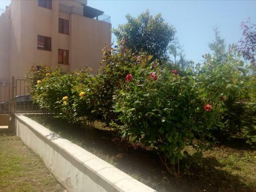 Apartments Shterevi