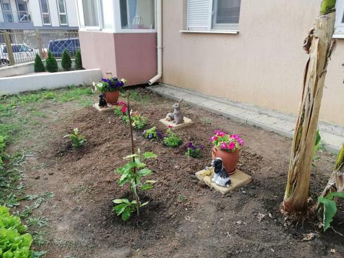 Apartments Shterevi