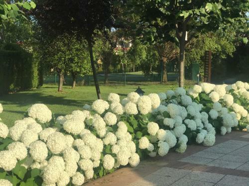 Luxury Apartment Greenlife, Kavaci