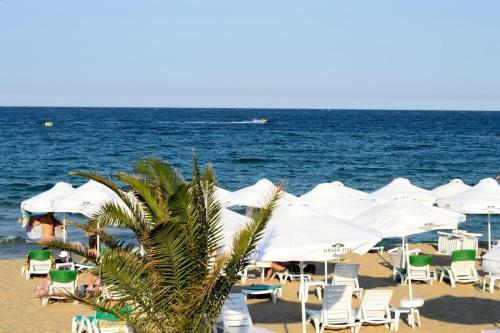 Luxury Apartment Greenlife, Kavaci