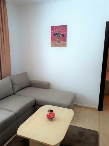 Apartment Snezhanka