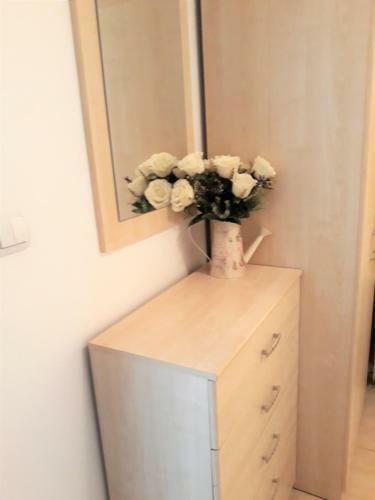 Apartment Snezhanka
