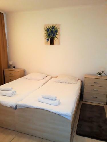 Apartment Snezhanka