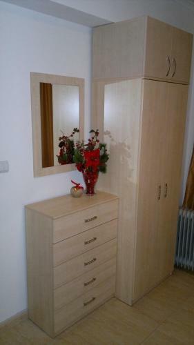Apartment Snezhanka