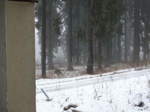 Apartamento Evrika Forest