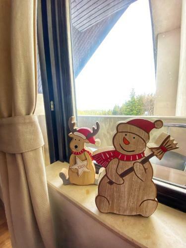 Apartamento Papa Moose Pamporovo