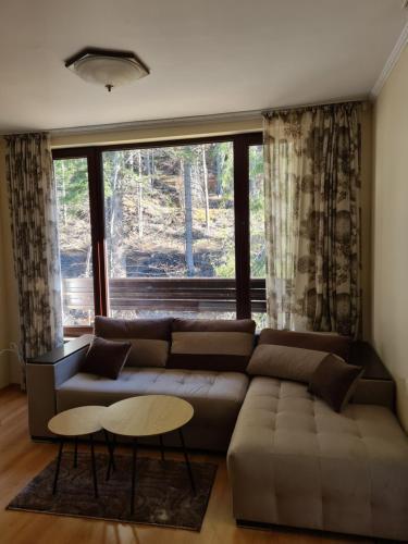 Apartamento ???????? ???