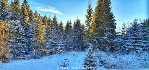 Apartamento Nordenpamporovo